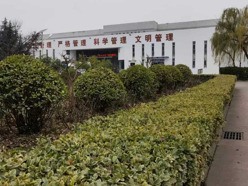 上海集資詐騙罪律師聊一聊拘留類型，他們有什么區別呢？