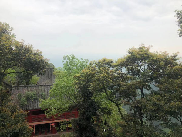 上海專業刑事律師分享會面過程經驗