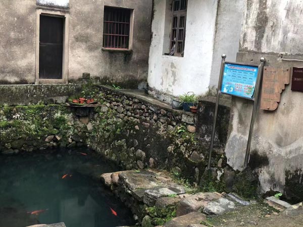 注意啦！黃浦律師：這些情況情況容易被指控侵權